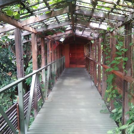 Rumah Turi Eco Boutique Hotel Surakarta  Luaran gambar