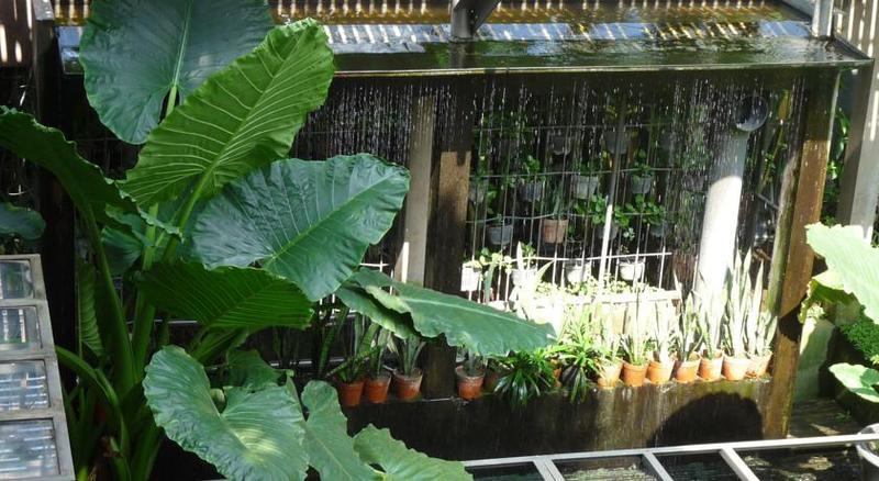 Rumah Turi Eco Boutique Hotel Surakarta  Luaran gambar